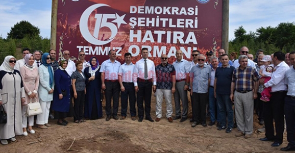 15 TEMMUZ ŞEHİTLERİ ANISINA HATIRA ORMANI