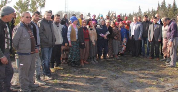 15 YILDA 60 BİN FİDAN