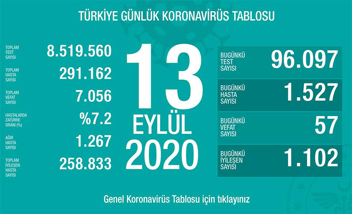 Can Kaybı 7056, Hasta Sayısı 291 Bin 162