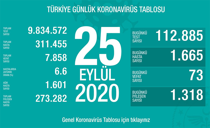 Can Kaybı 7858, Hasta Sayısı 311 Bin 455