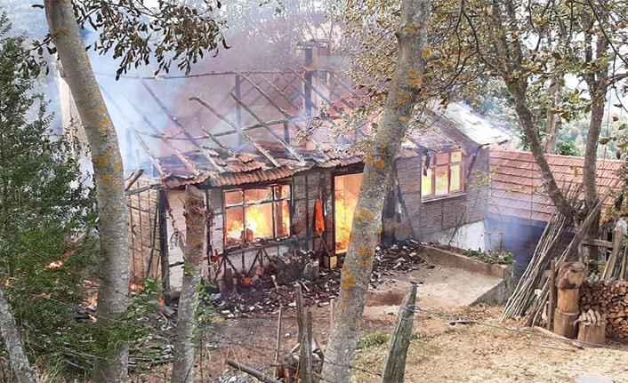 Alevlere Teslim Oldu