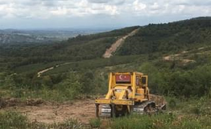 Kazımiye Dağları Yeşile Bürünecek