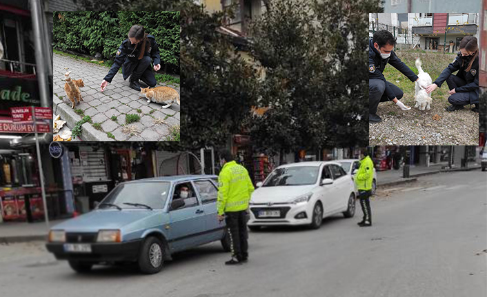 Hendek Polisi Sokak Hayvanlarını Unutmadı