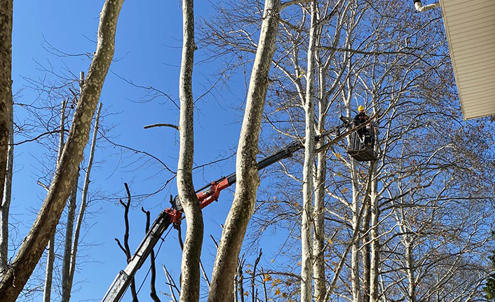 Belediye Tedbirleri Sonuç Verdi