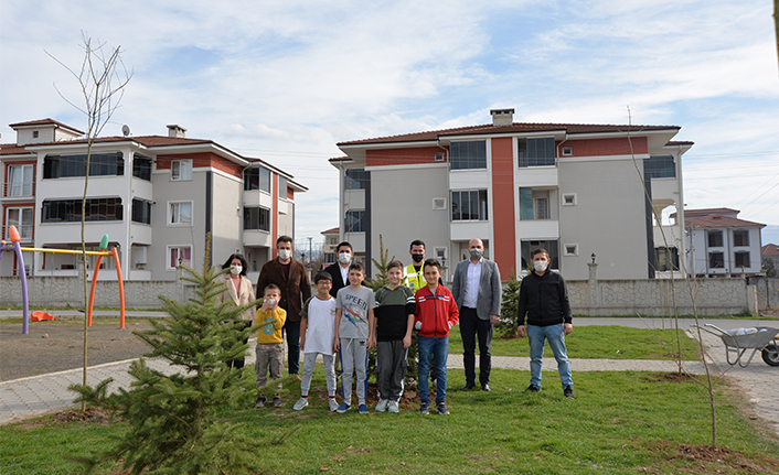 Bu Yıl Hedef 5 Bin Fidan