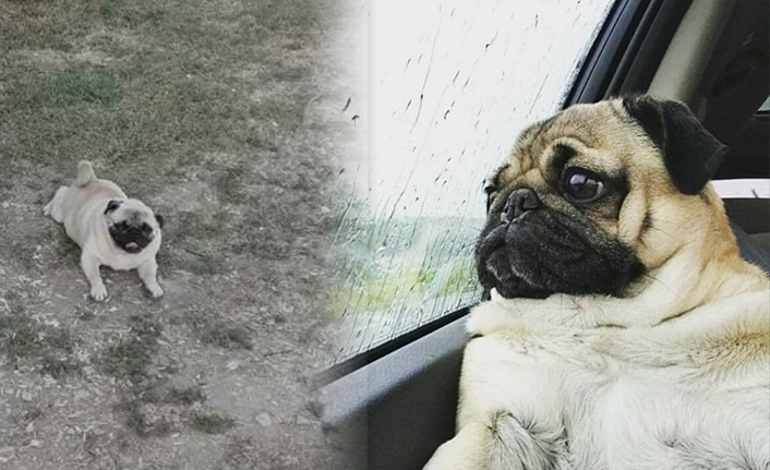 Bulana Ödül Verilecek