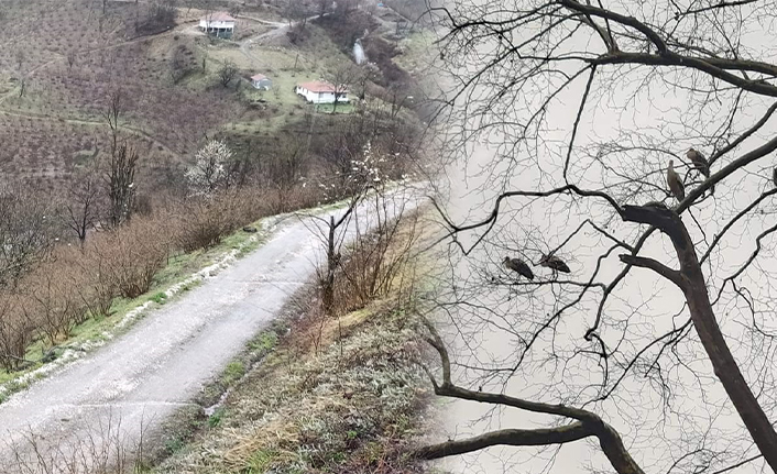 Leylekler Yolu Şaşırdı