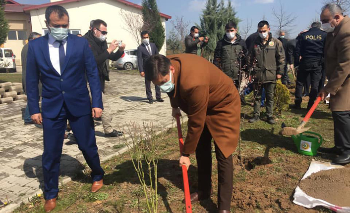 Orman Haftasına Özel Fidan Diktiler