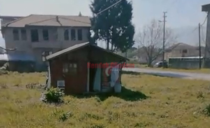 Yaşlı Adam Ölü Bulundu