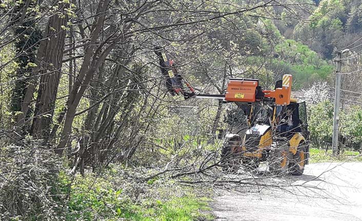 Ot Biçme Ve Dal Budama Çalışmaları Sürüyor