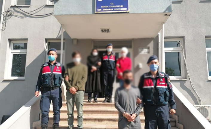 Hayvan Hırsızları Jandarmadan Kaçamadı