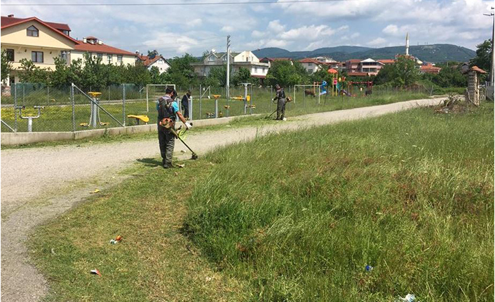 Mahallelerde Yabani  Otla Mücadele Sürüyor