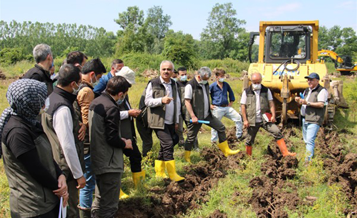 Ağaçlandırma ve Fidan Üretim Eğitimi Hendek’te Yapıldı