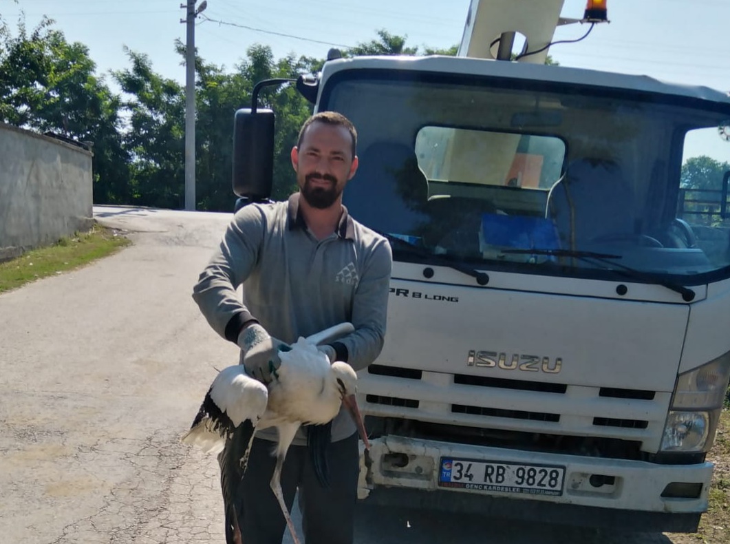 Leylek SEDAŞ Ekiplerince Kurtarıldı