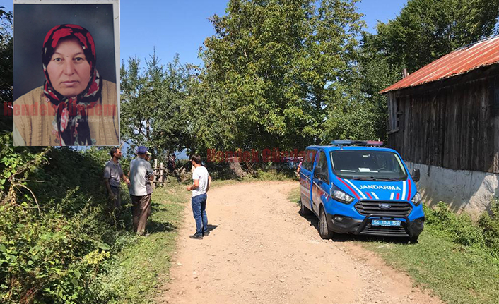 Arama Çalışması Başlatıldı