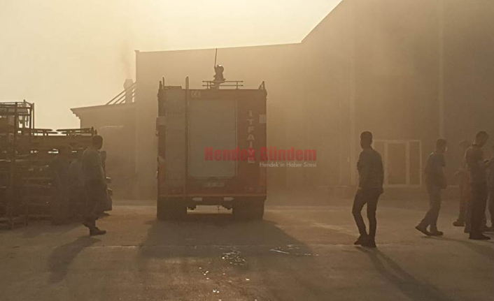 Hendek’te Korkutan Yangın