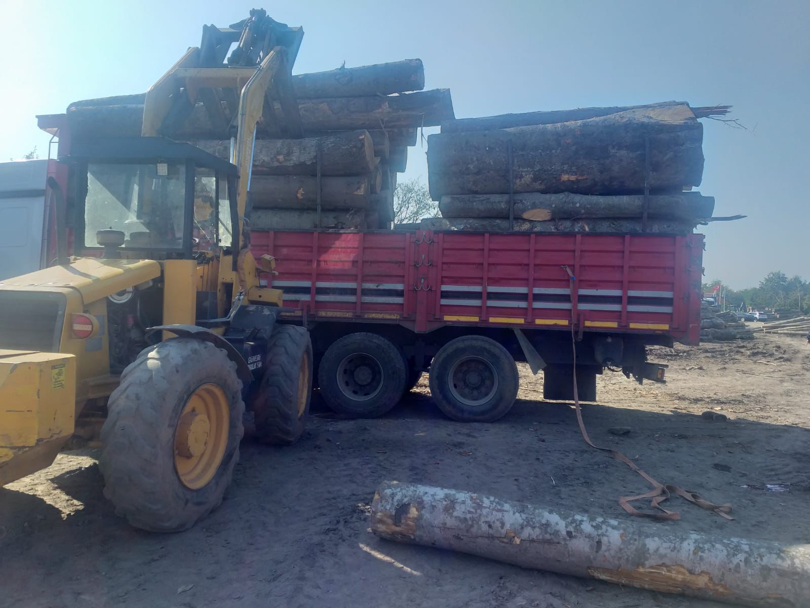 Tomruk Altında Kalan İşçi Kurtarılamadı