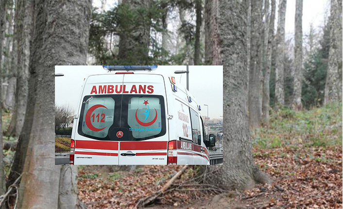 Ormanda Ölü Bulundu