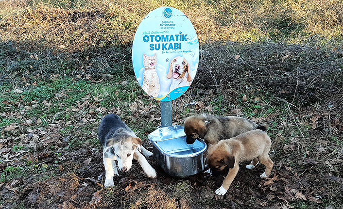 Büyükşehir Can Dostların Yanında