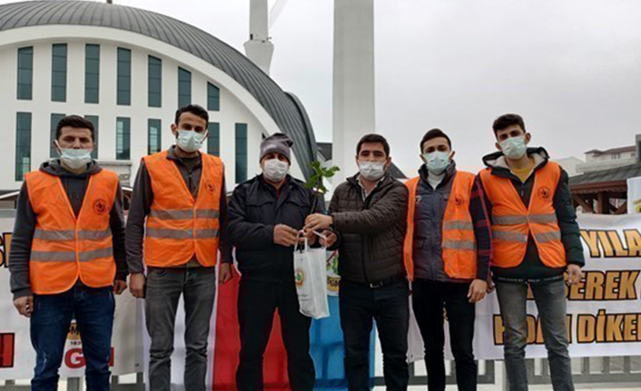 Ağaç Kesme Fidan Dik