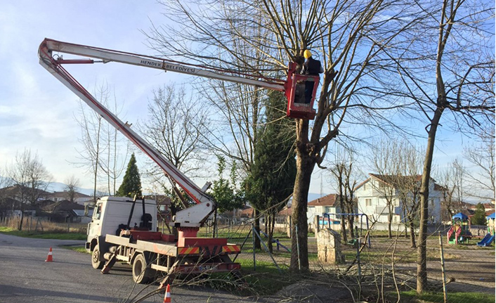 Ağaçlar Budanıyor, Yeşil Korunuyor