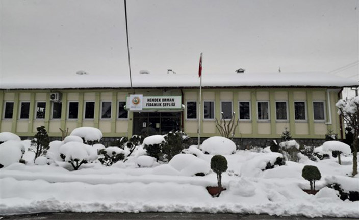 Dışarda Kar İçerde Fidan