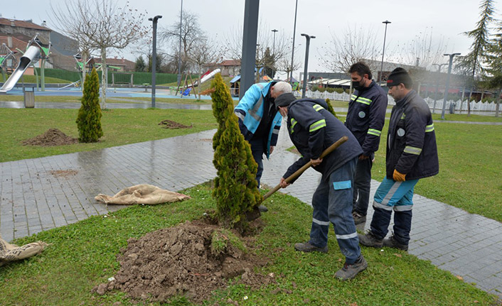 Hendek Belediyesi Yeşillendirmeye Devam Ediyor