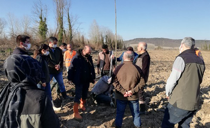 Kavak Dikimi İş Başı Eğitimi Yapıldı