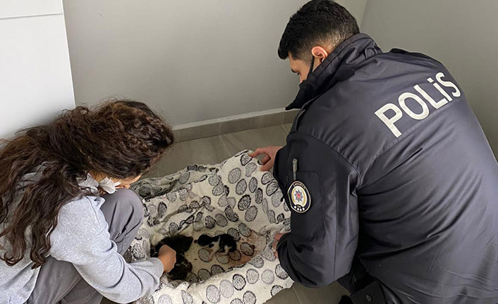 Asya’dan İnsanlık Dersi