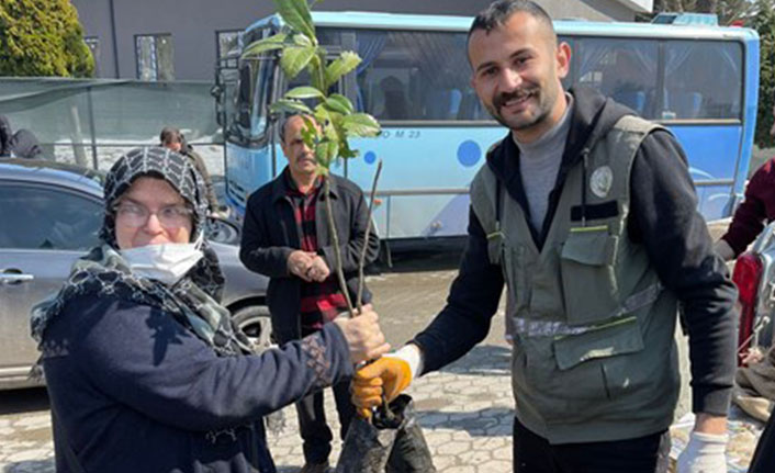 Hendek’ te Vatandaşlara Ücretsiz Fidan Dağıtımı Yapıldı