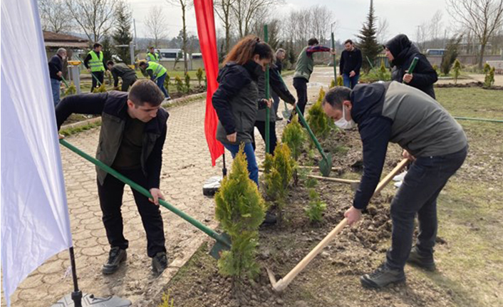 Hendek’te 21 Mart Dünya Ormancılık Haftası Coşkusu