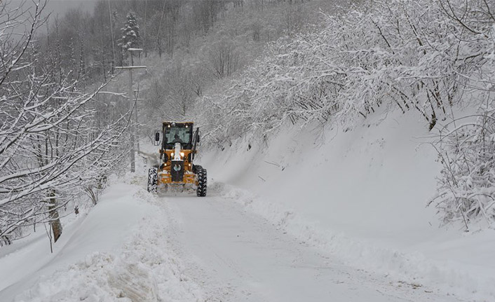 Karla Mücadele Timi Alarmda