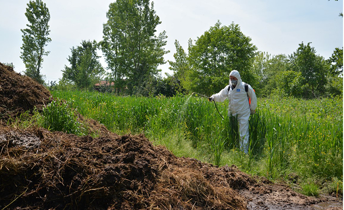 Larva Mücadelesi Başladı