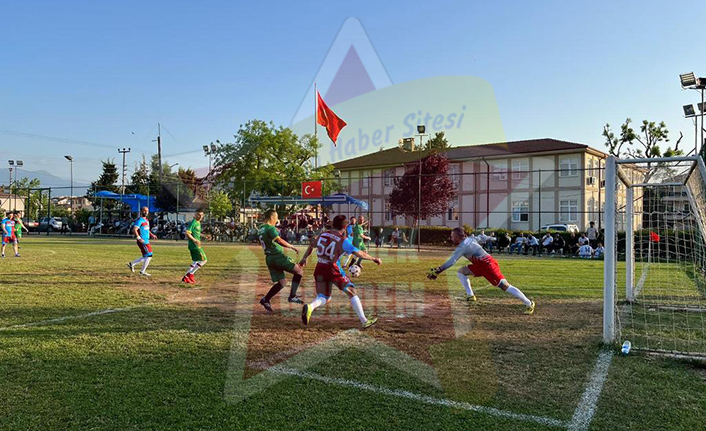 Orman İşletme Direklere Takıldı