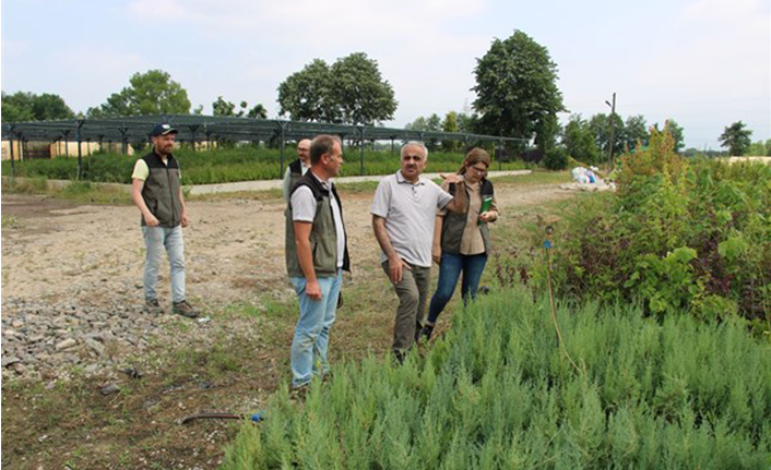 Polat, Hendek Fidanlığında Fidan Üretim Çalışmalarını Denetledi
