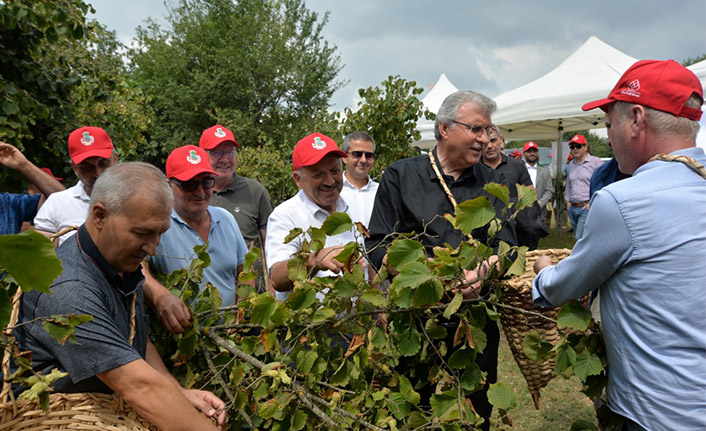 2. Fındık Hasat Şenliği Hendek’te Yapıldı