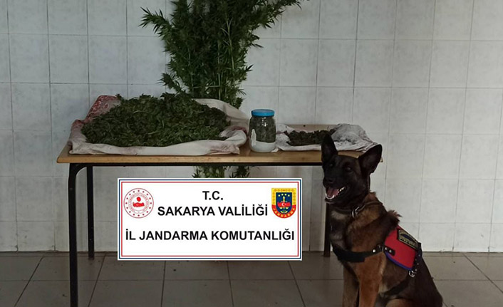 Hendek'te Uyuşturucu Operasyonu