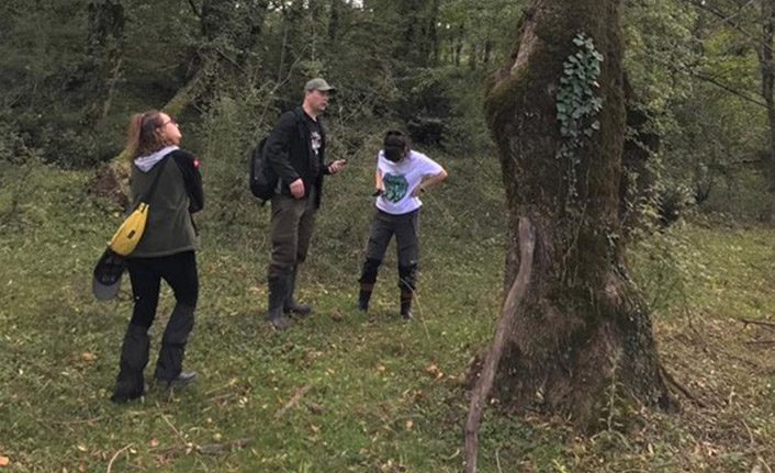 Orman Zararlılarıyla İlgili İncelemeler Yapıldı