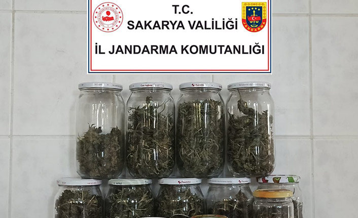 2,5kg Esrar Ele Geçirildi