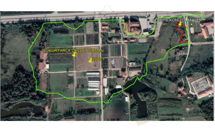 Hendek’teki Arazi Cumhurbaşkanlığı Kararıyla Orman Vasfından Çıkartıldı
