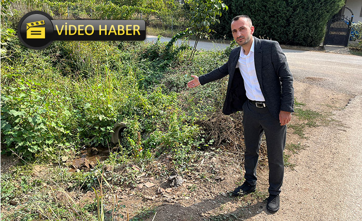 Akbulut Sorunları Dile Getirdi