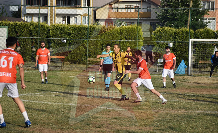 Meraklı Fındık Direklere Takıldı