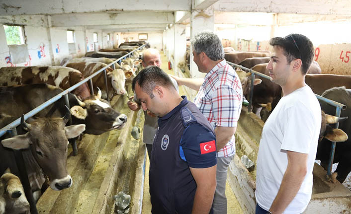 Hendek’te Kurban Kesim Yerleri Denetimden Geçti