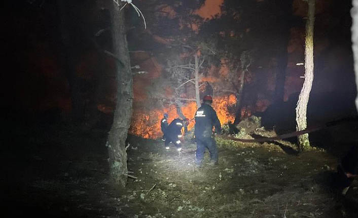 SAKE Yangın Bölgesinde