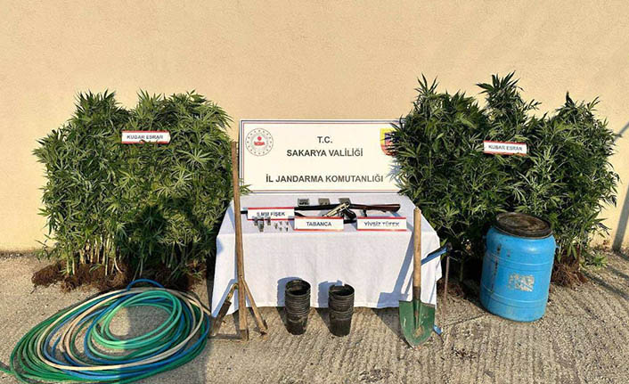 147 Kök Kenevir Ele Geçirildi