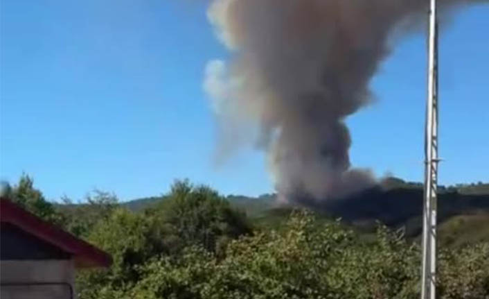 Hacıkışla ve Kocatöngel Arasında Orman Yangını