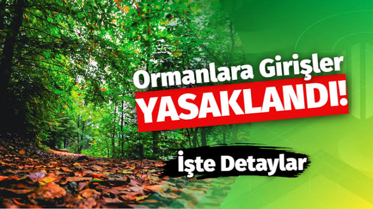 Ormana Girişler Yasaklandı
