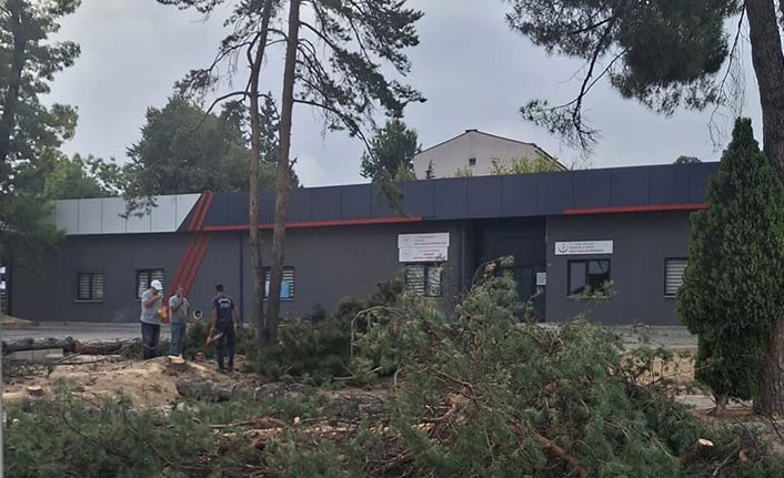 Bayraktar’dan Kesilen Ağaçlara Tepki