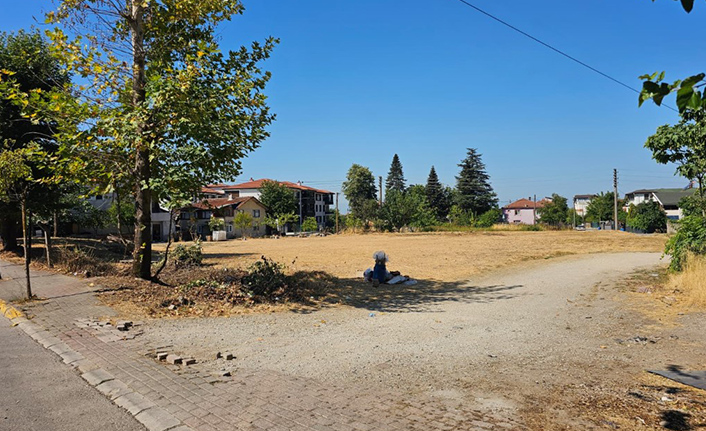 Hendek Belediyesinden Fındık Harmanı Uyarısı