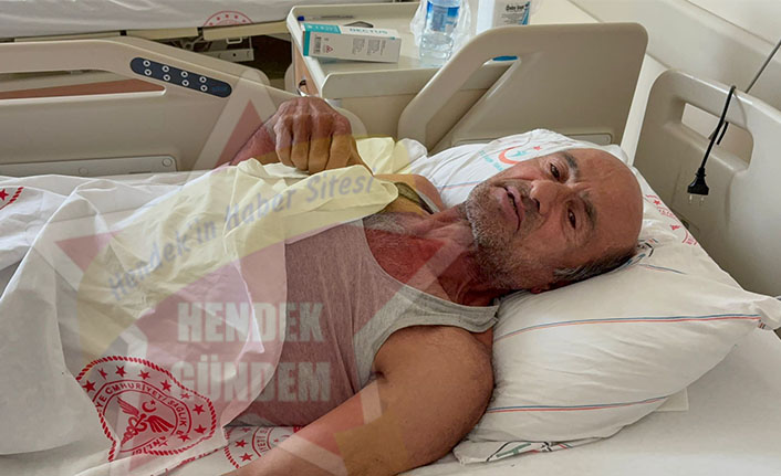 Hendek’te Ayı Saldırısı 1 Yaralı